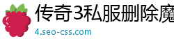 传奇3私服删除魔法