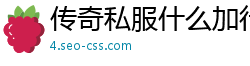 传奇私服什么加行会