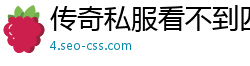 传奇私服看不到四级技能
