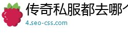 传奇私服都去哪个网站